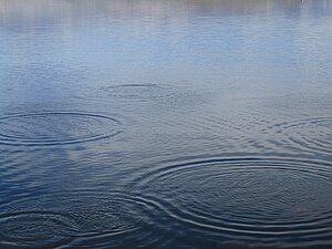 image-32393
