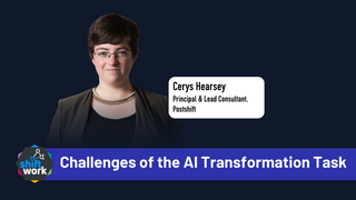 Challenges of the AI Transformation Task
