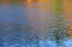 image-32488