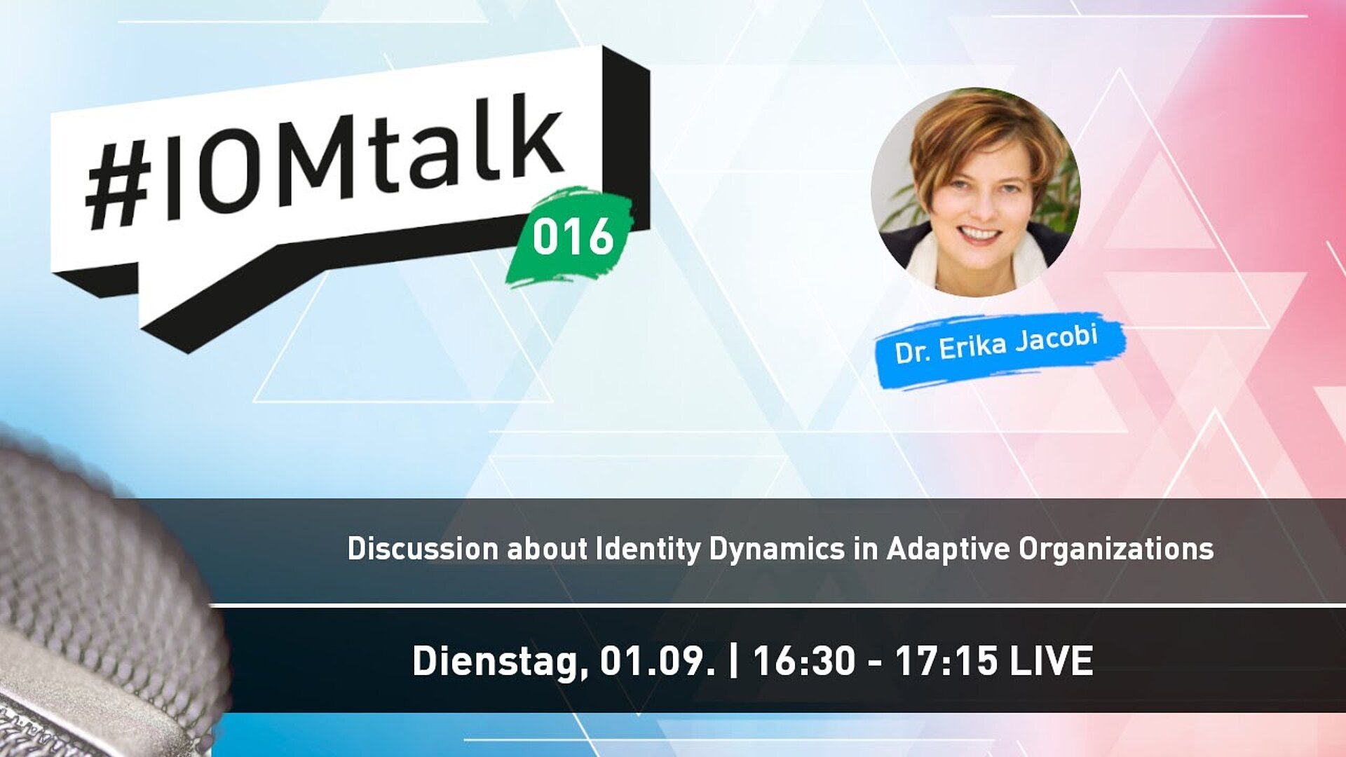 Discussion about Identity Dynamics in Adaptive Organizations