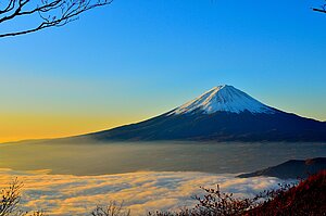 image-32508